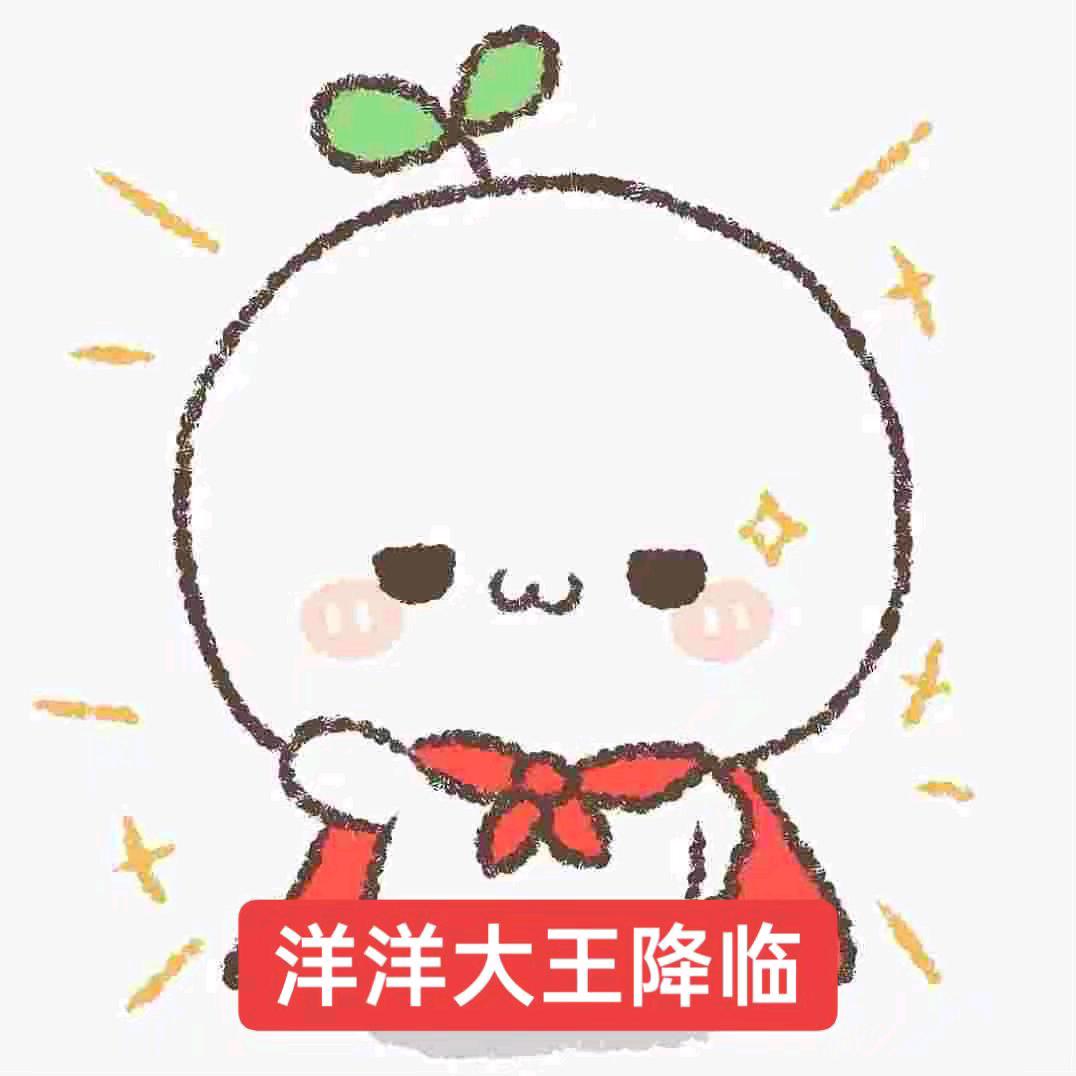 洋导.