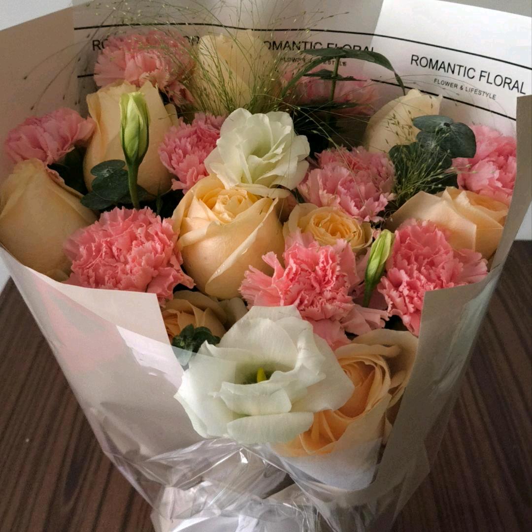 樱花🌸小鹿🦌
