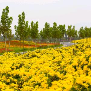 东台市聚宝湖生态园