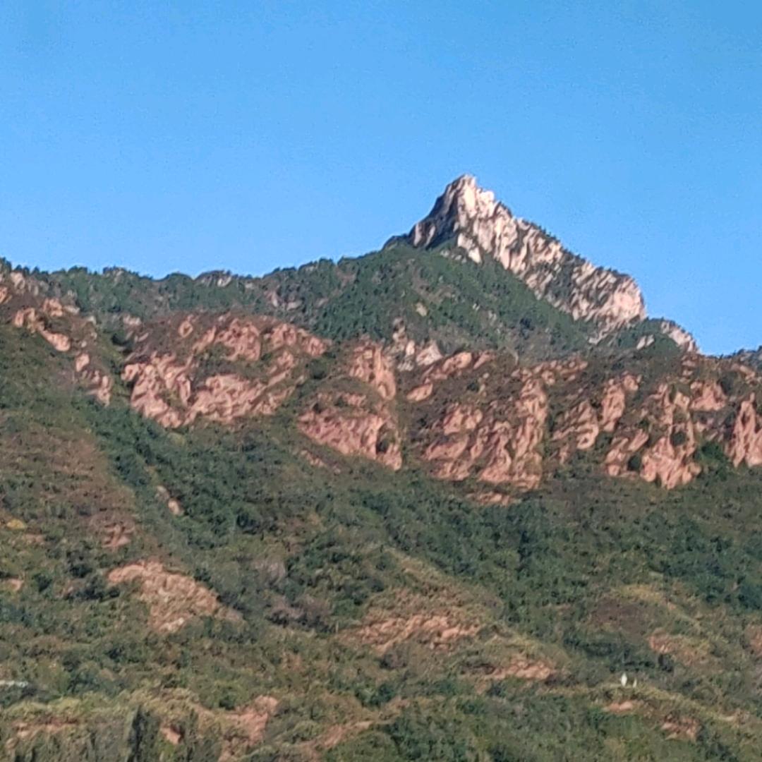缘宝堂中古杂货铺