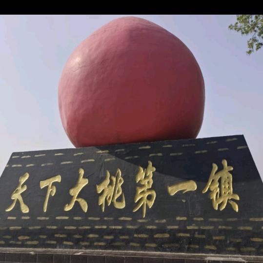 涛香果惠