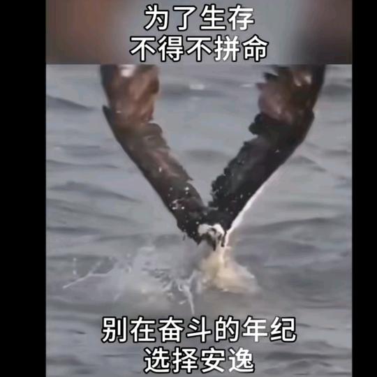 人间正道是沧桑