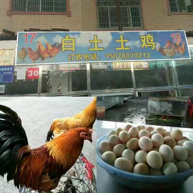 白土土鸡店