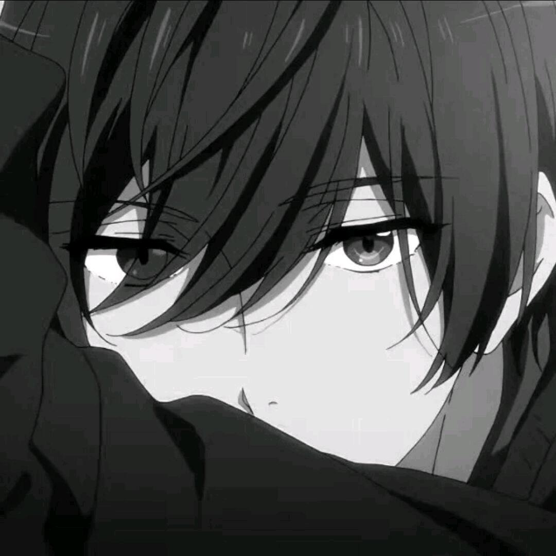 揽千秋