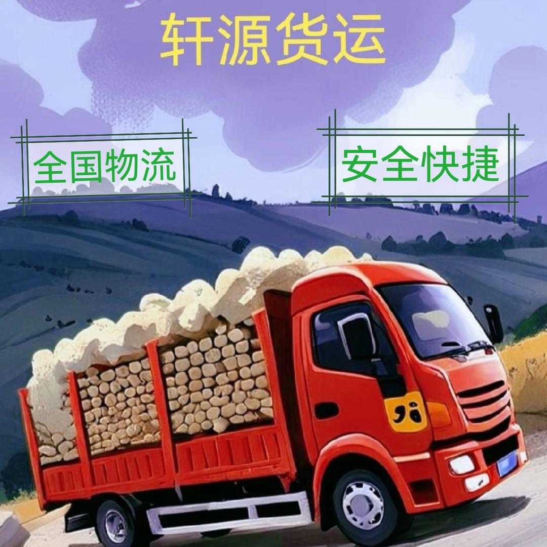 青春无悔 🕷️