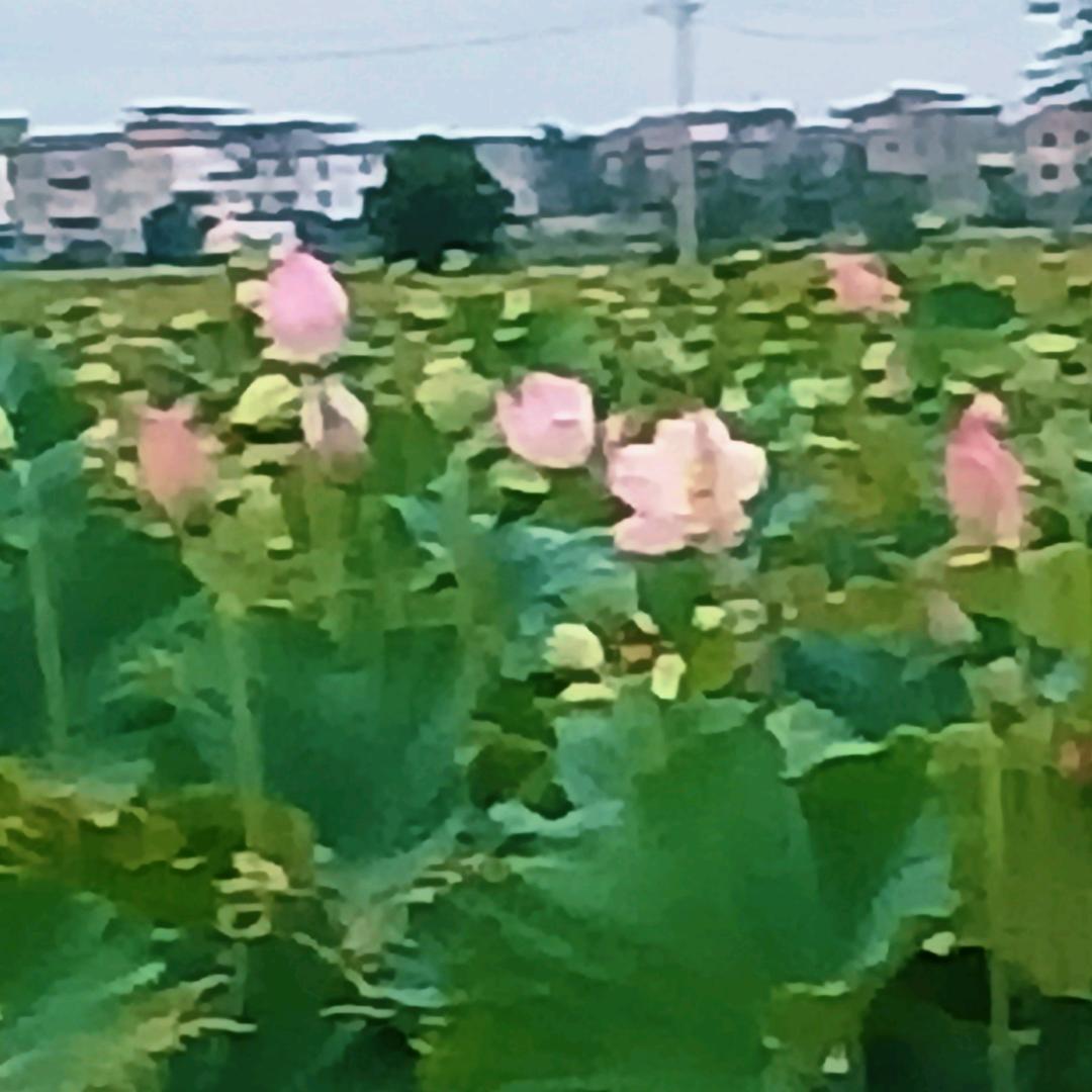 九千