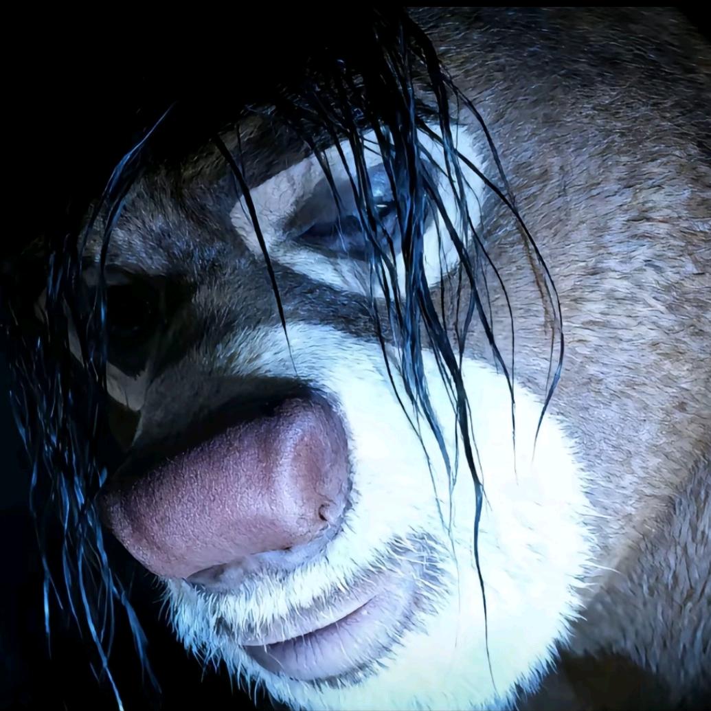 奔波霸骑着霸波奔吹着喇嘛的喇叭去赶集