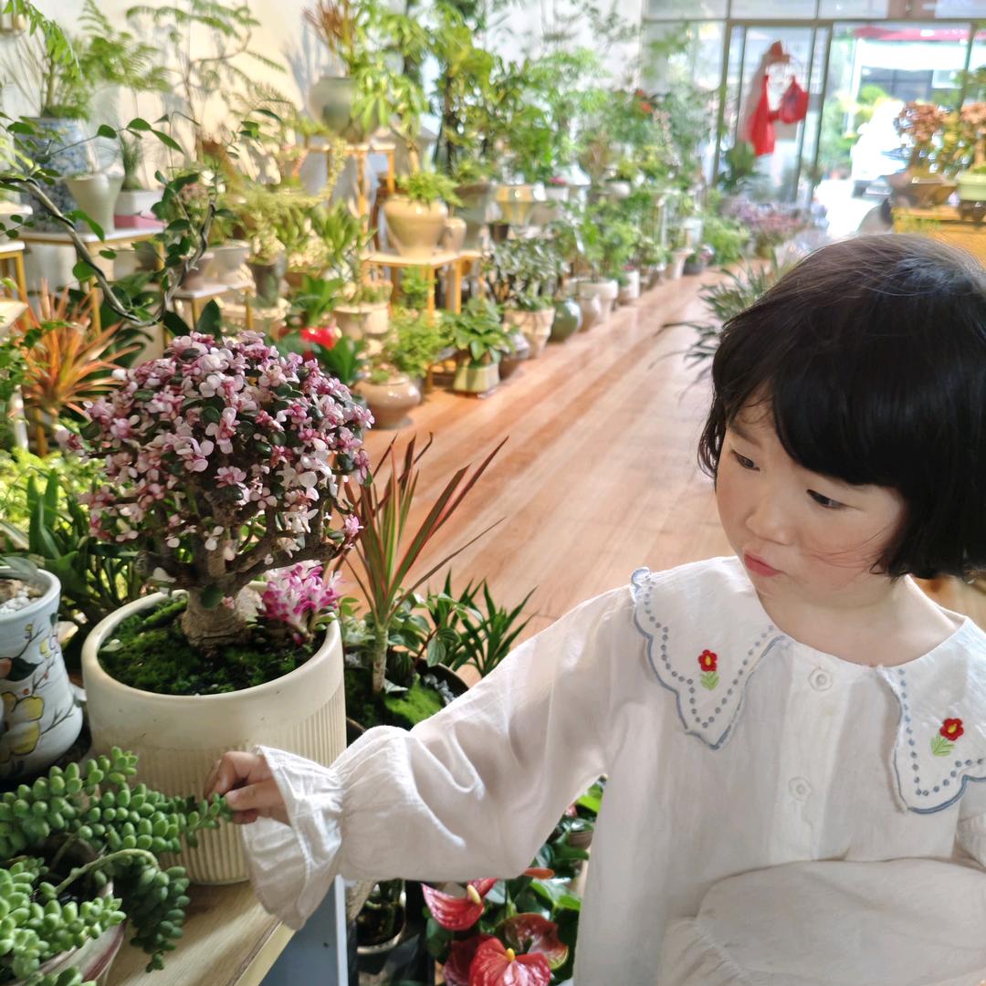 晓平绣妆馆