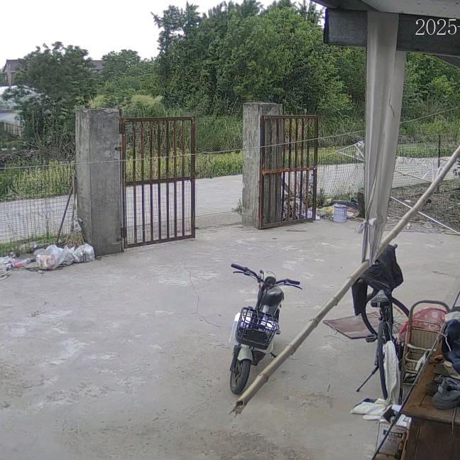 顺其自然