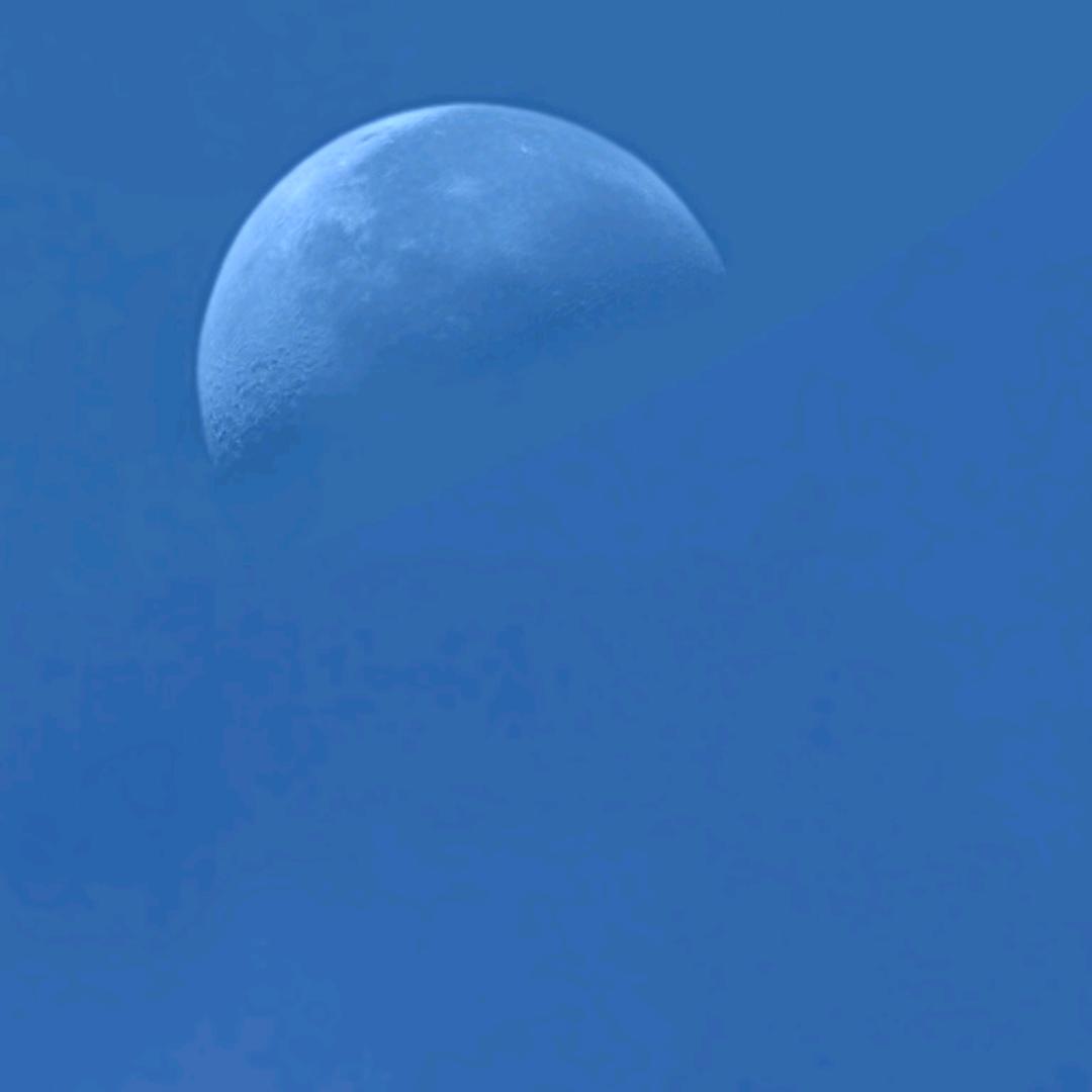 龙
