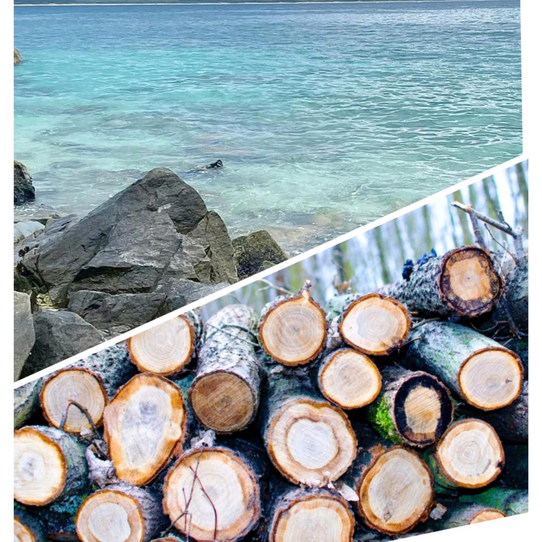 狼王（我的世界）