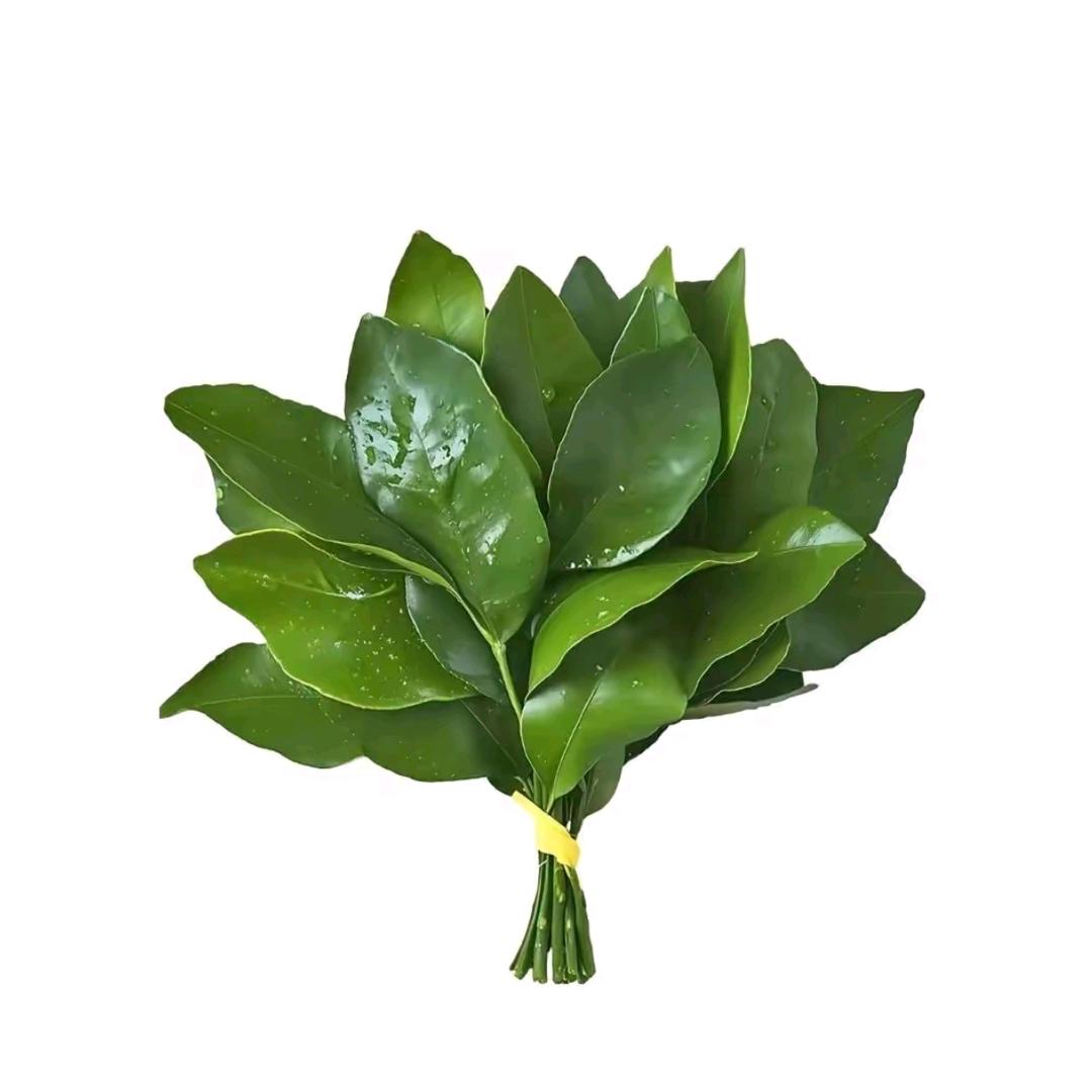 @加点辣