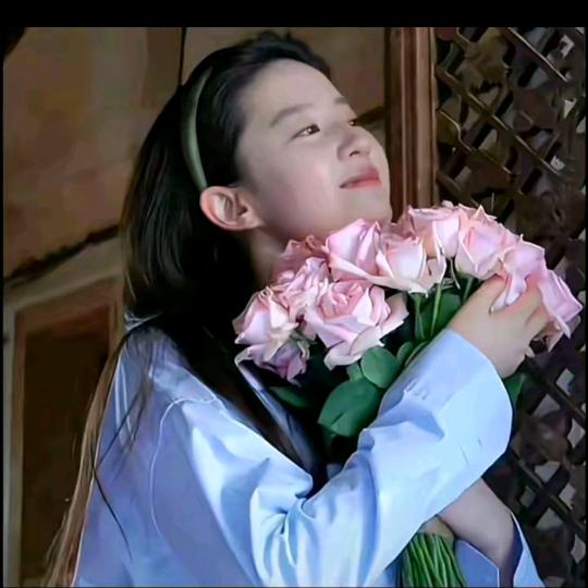 出水芙蓉🌺