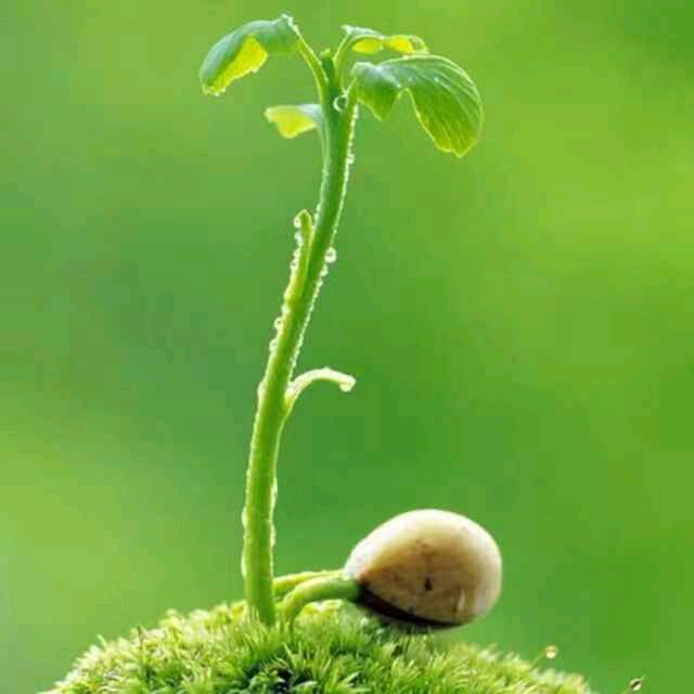 🌈🌈🌈💐0965