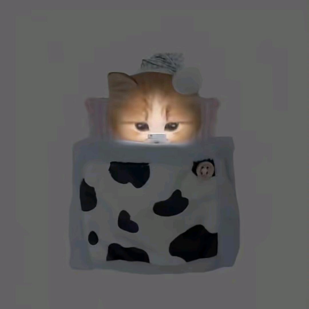 月亮圆不圆