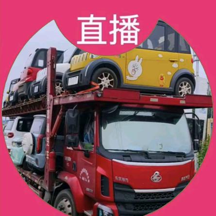 临泉县张海阔买卖2手电动车