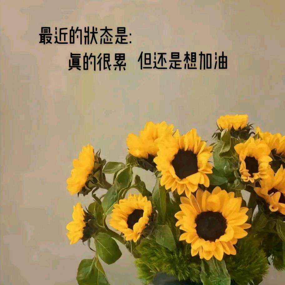 😘😘夏天