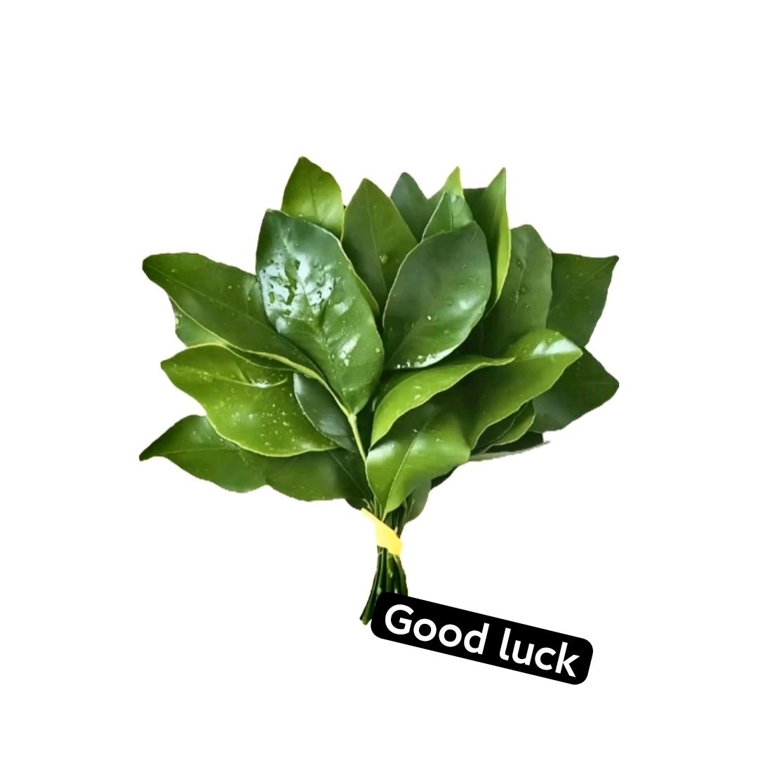 菠萝包