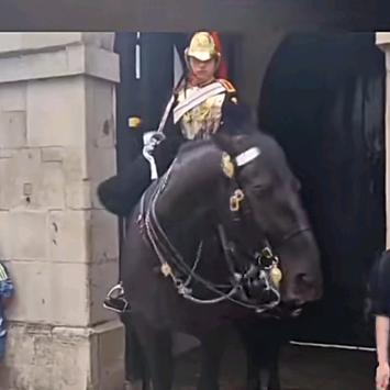 用户198709532486754