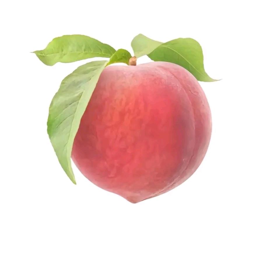 恒尚百货店桃桃