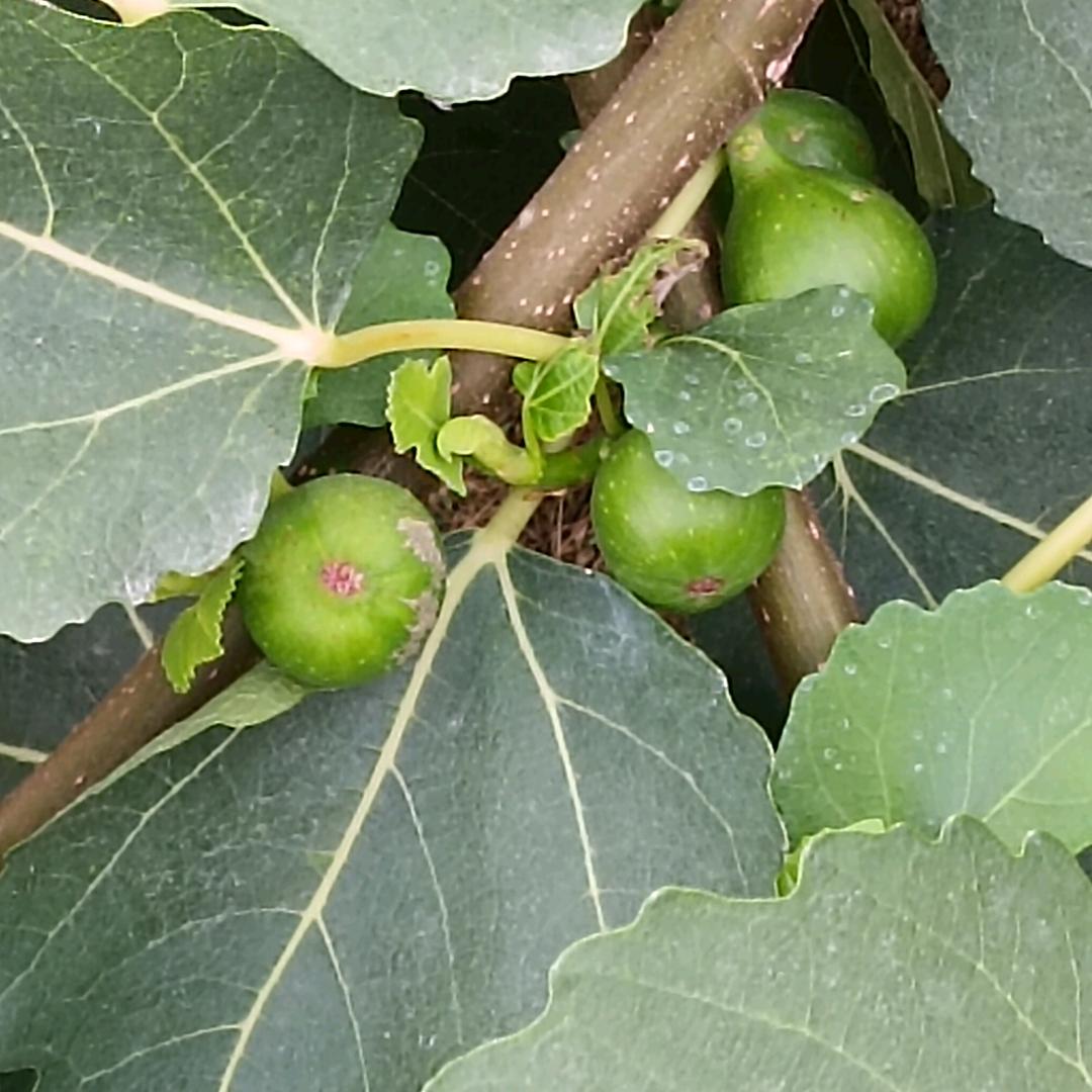 ⊙ω⊙⊙ω⊙⊙ω⊙⊙ω⊙