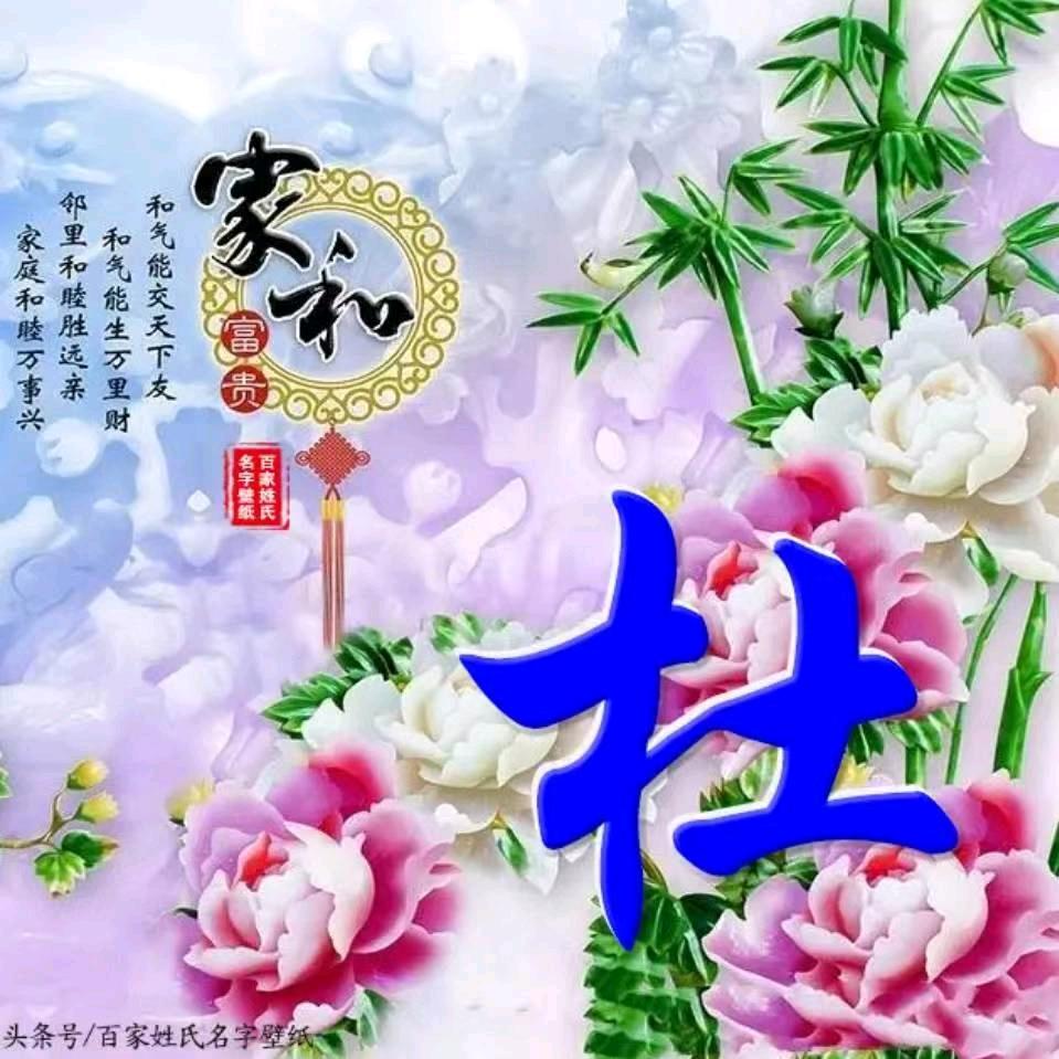 镇雄啊杜618