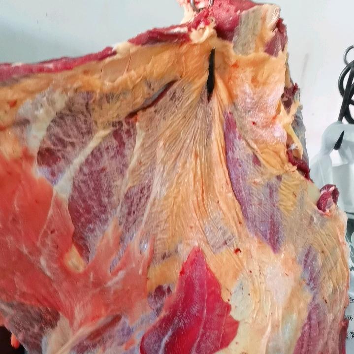 康城清真牛羊肉铺