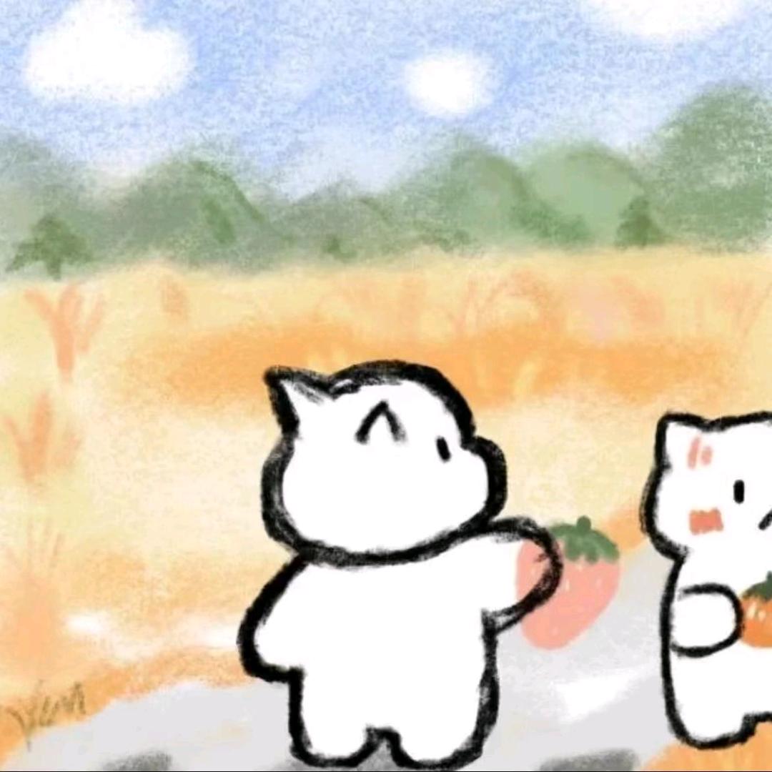 solo（三角洲行动）