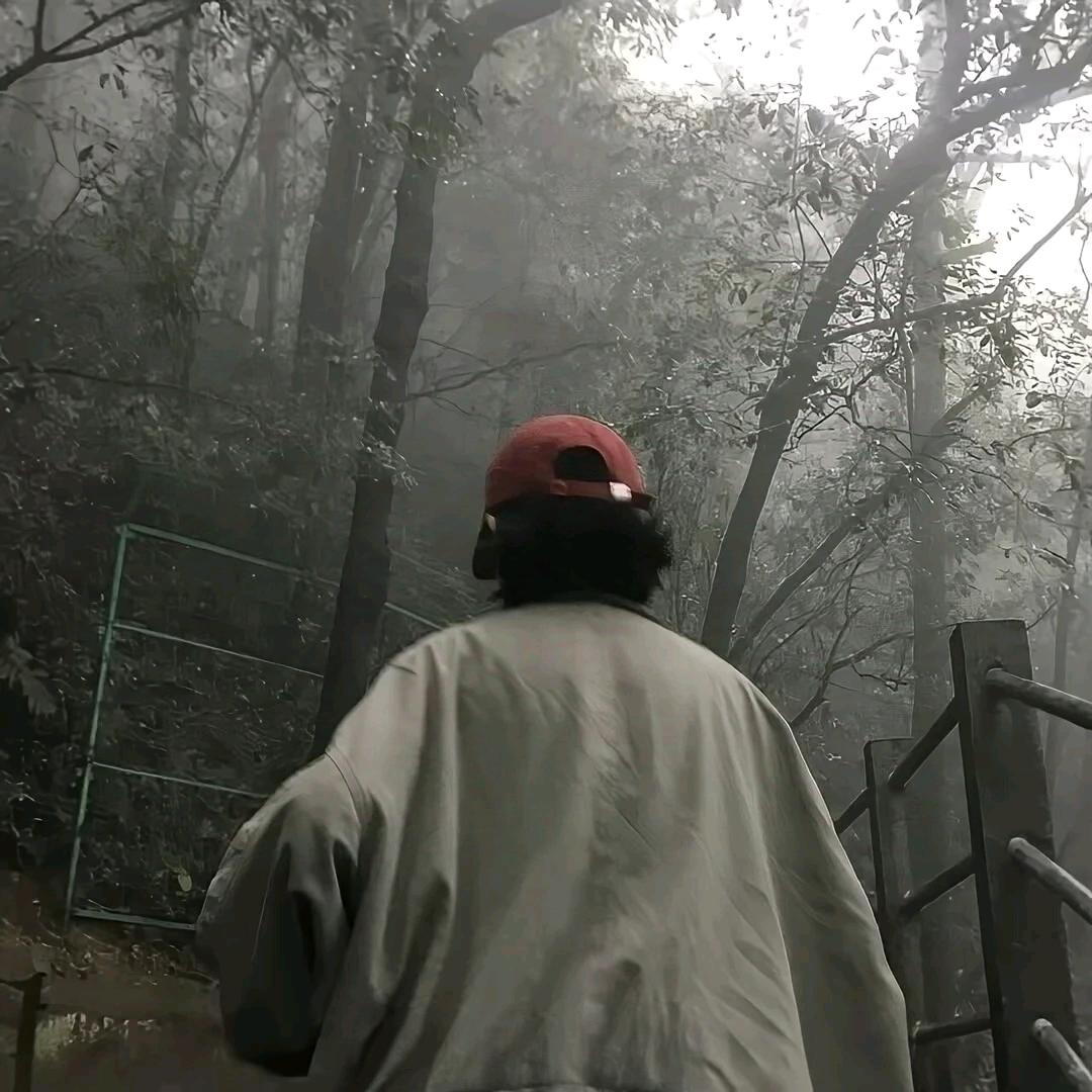 羡鱼