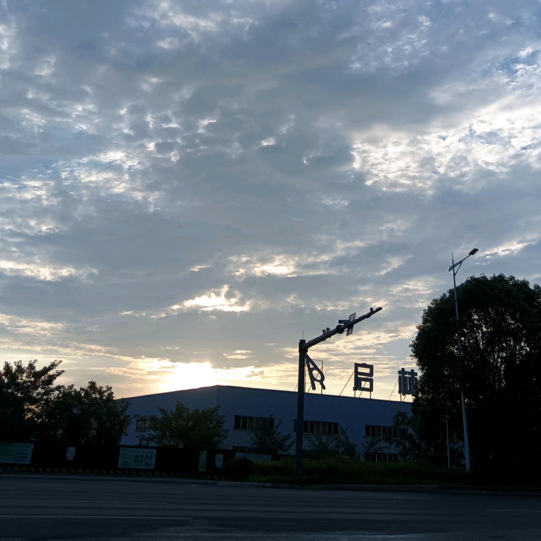 我的女儿我的泪