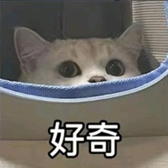 YE