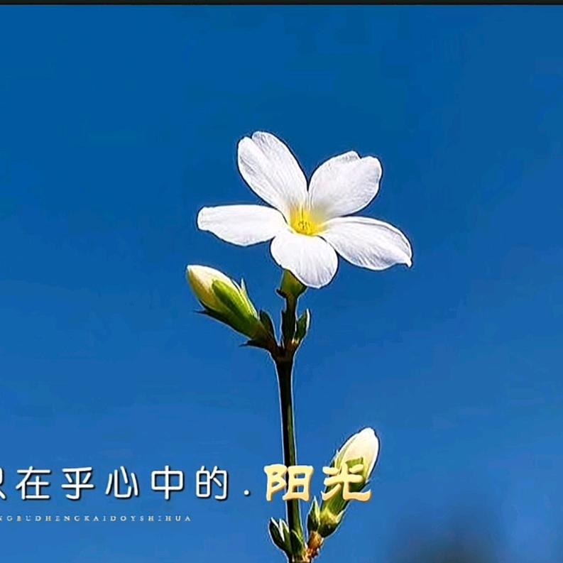 A英子