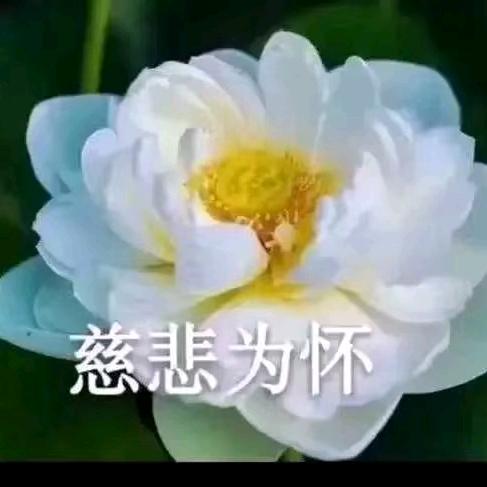 春暖花开