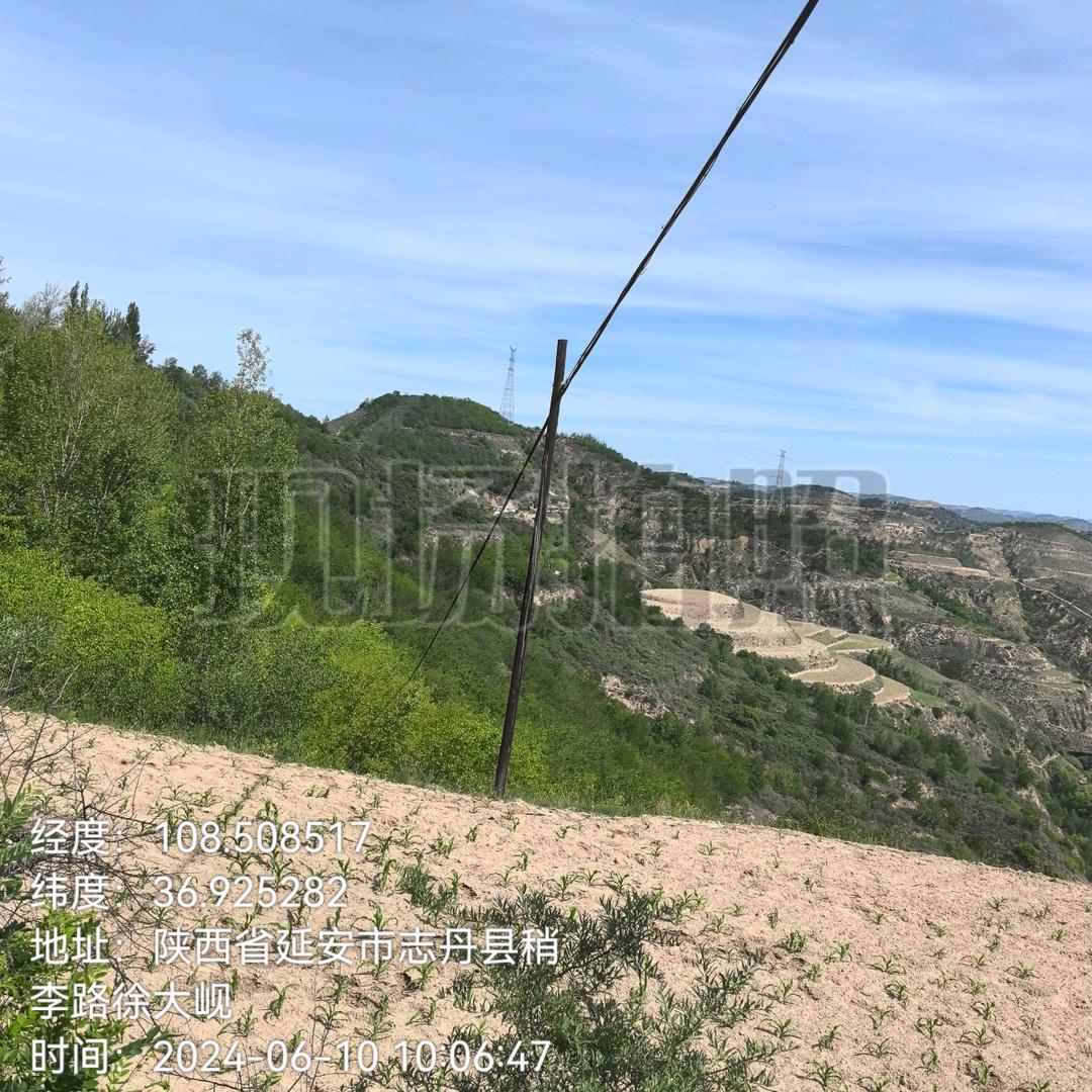 走南闯北