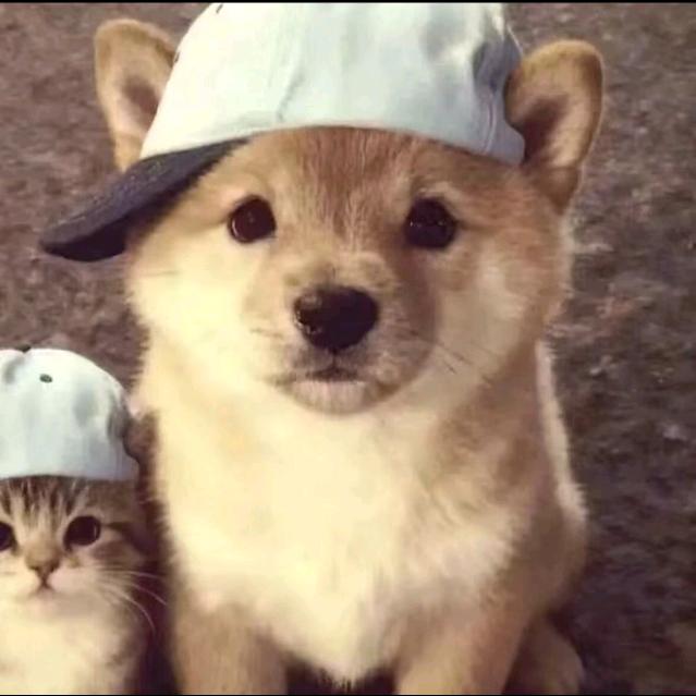 我讨厌早六
