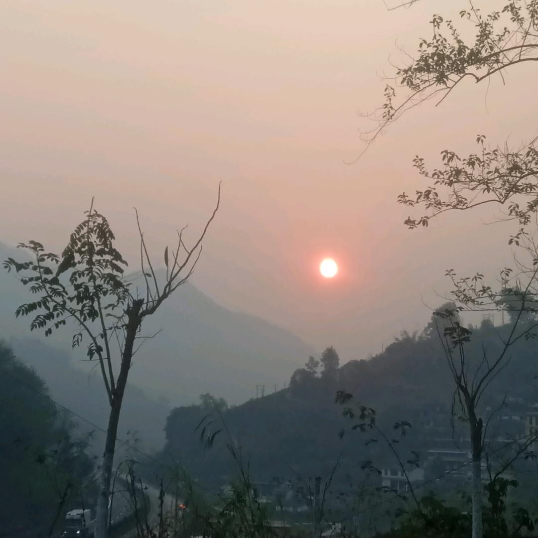 幸福永远❤️❤️