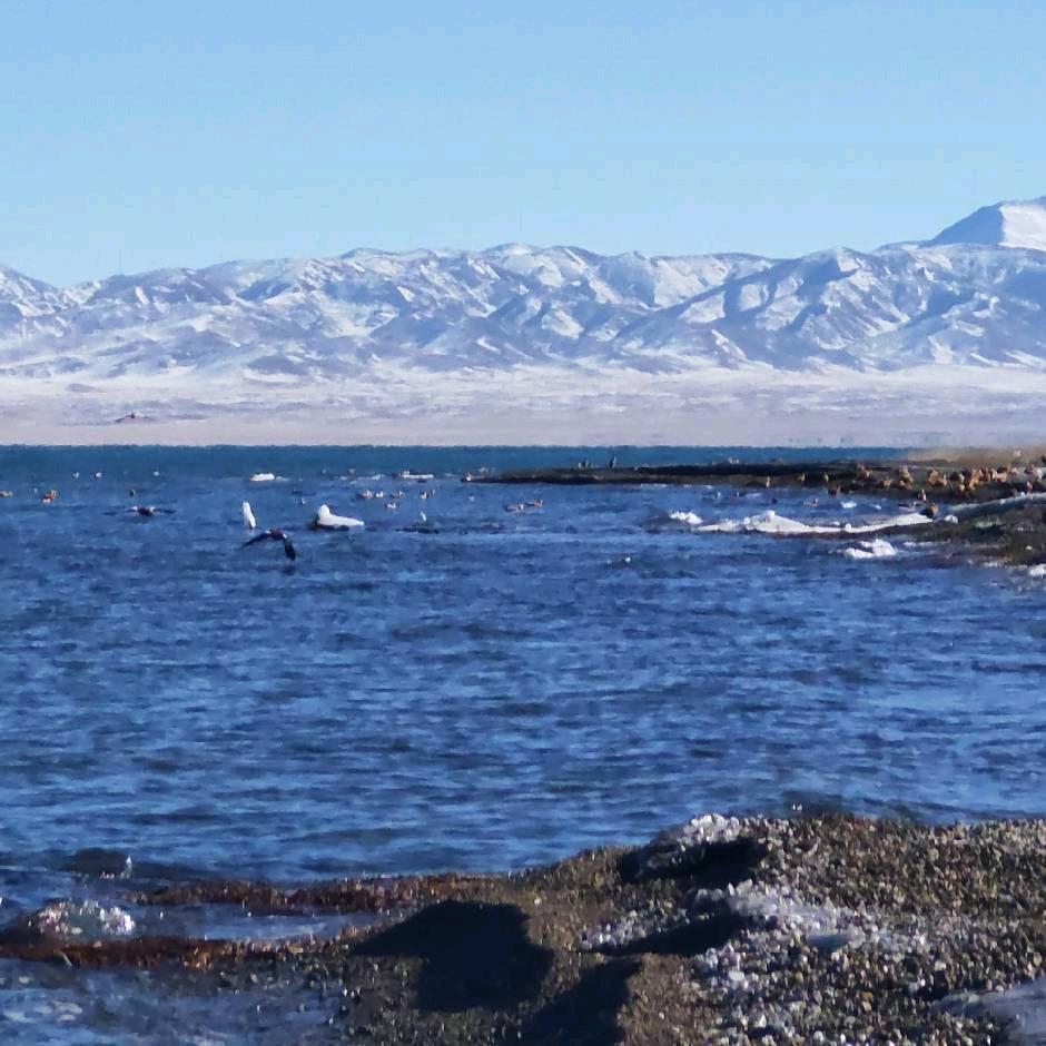 ￴￴￴ ￴￴ ￴￴￴￴￴ ￴￴ ￴￴