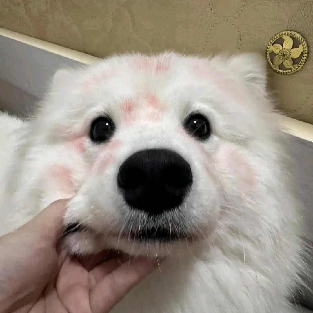 许萱