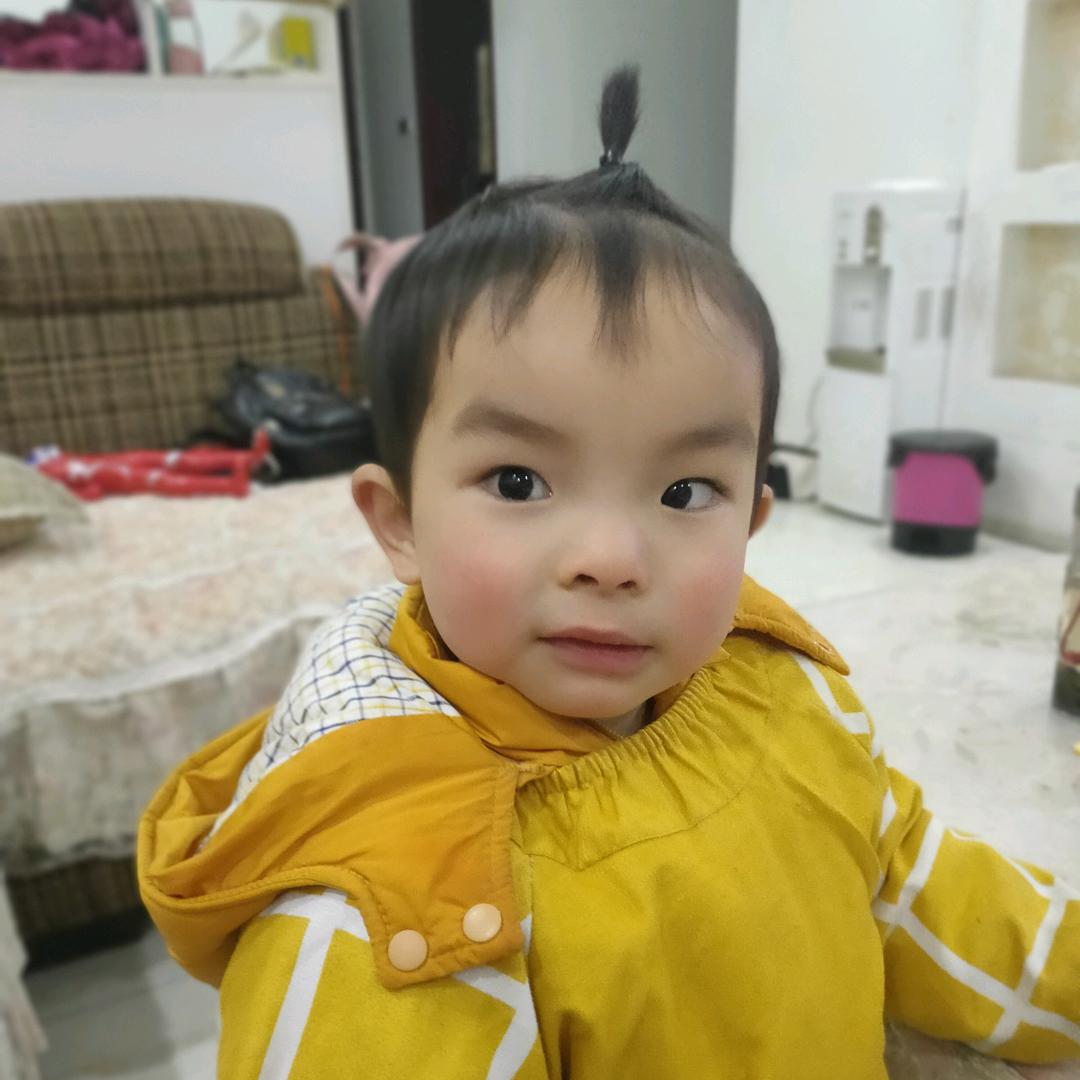 宾宾
