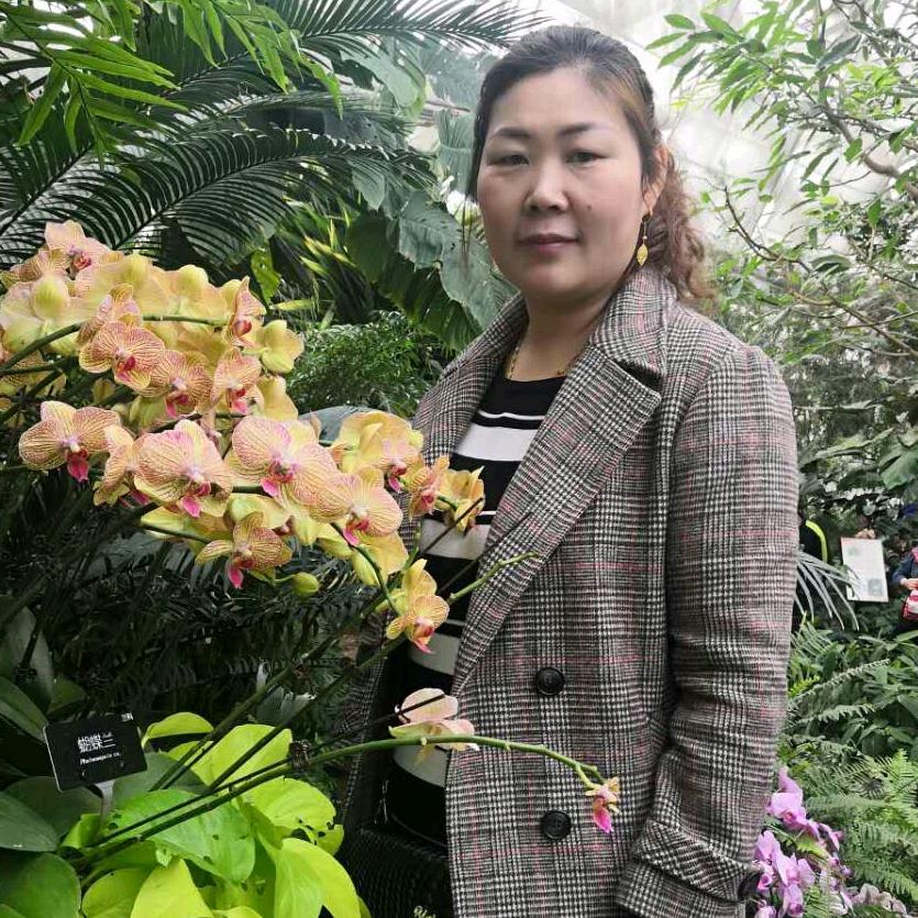 烦恼全吴<吴俊录>