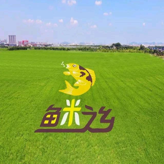 五常老谢农产品