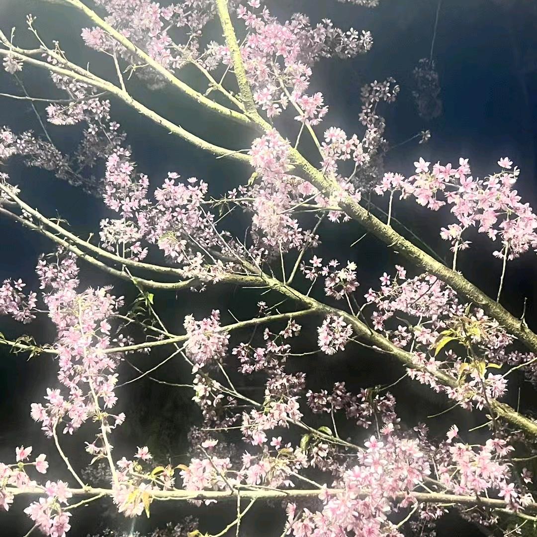 手机用户81969234156