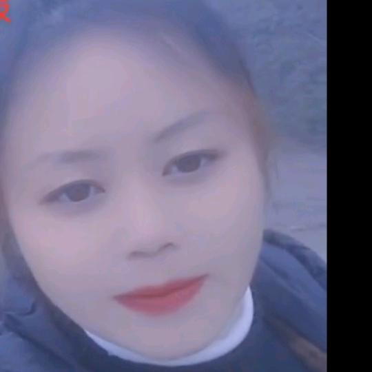 菲若衣莱