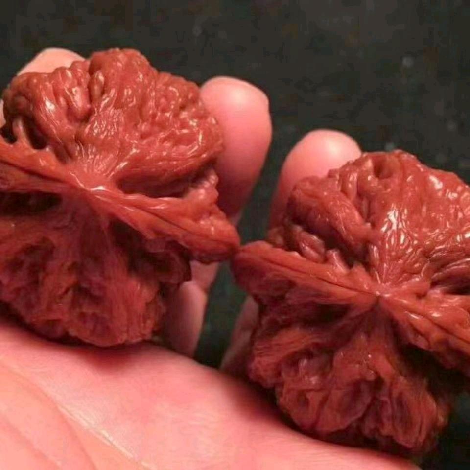 张家大小姐吖