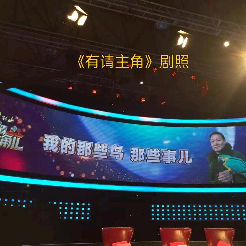 鹦鹉家族(资深玩家1993–2025）