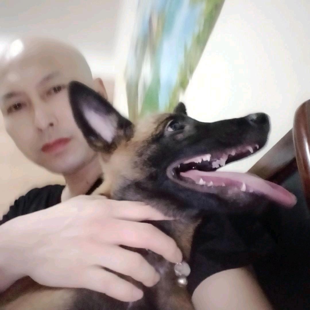 贵州光头哥