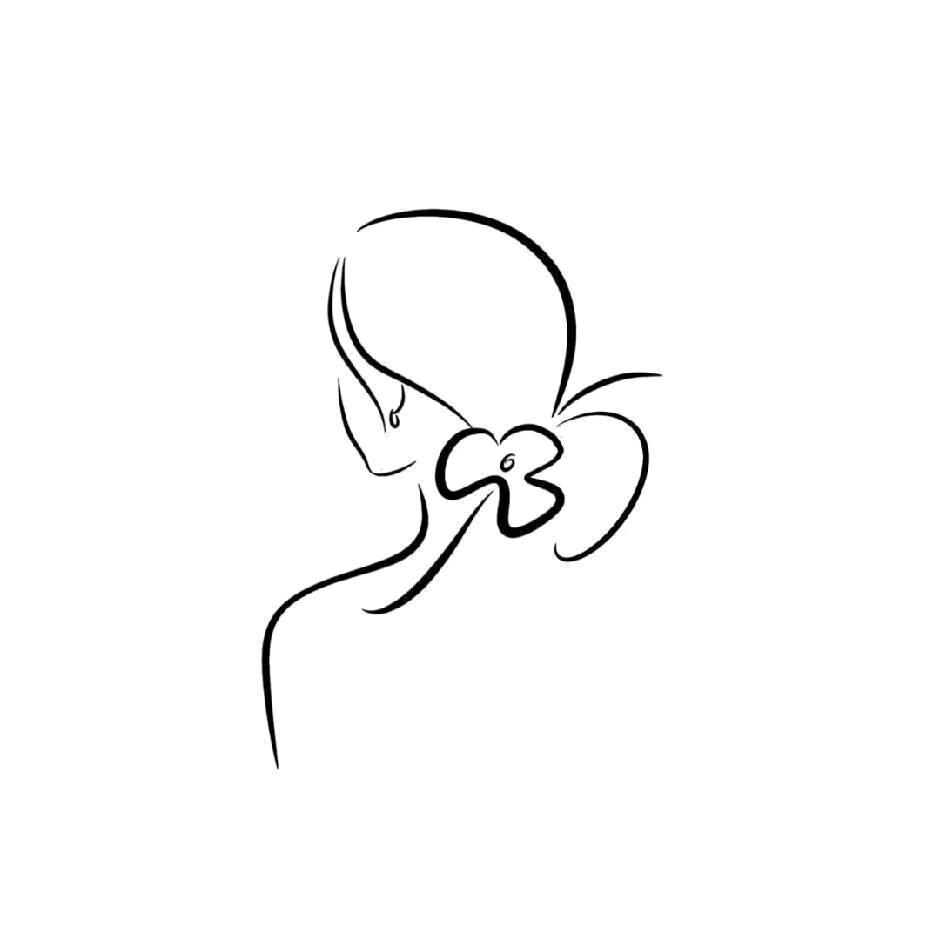 橘子老师的故事屋