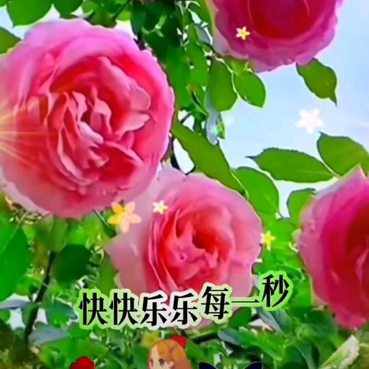 雨过天晴🌿🌿🌸🌸