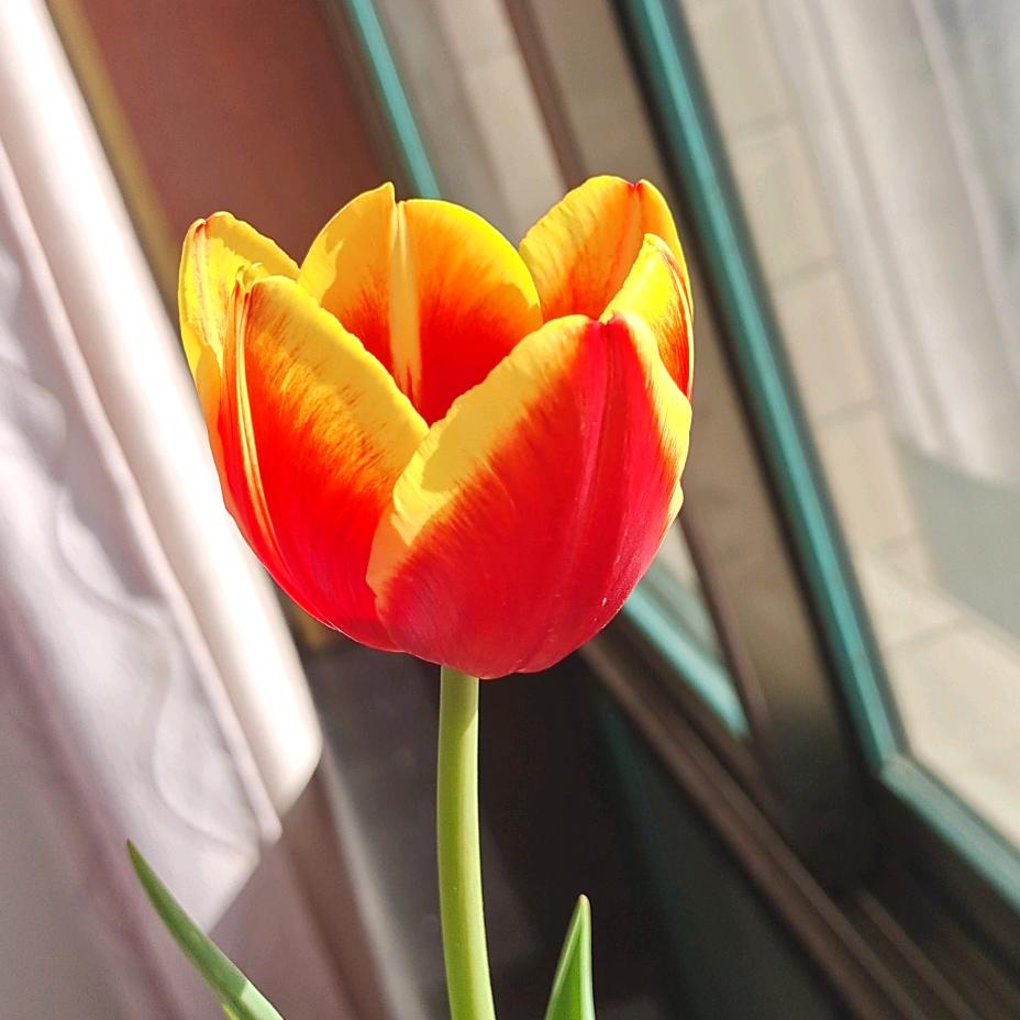 @🌺💞🌺