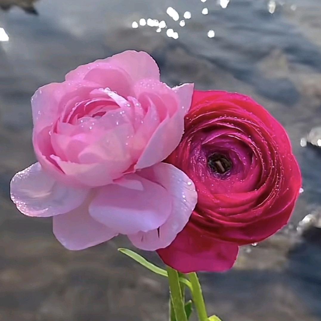 卫浴安装维修师傅